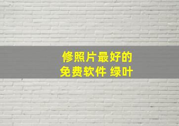 修照片最好的免费软件 绿叶